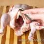 stuffedchicken3.jpg